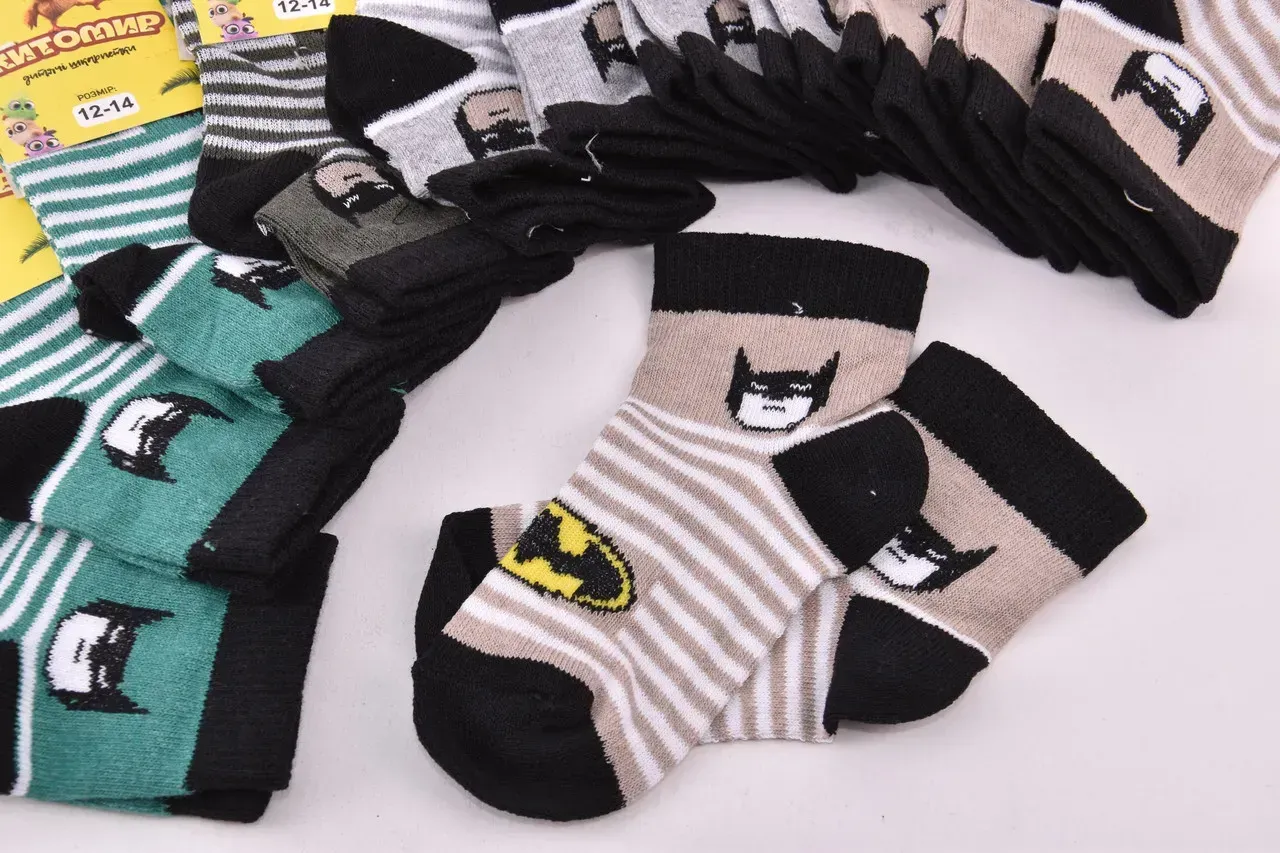 Шкарпетки дитячі на хлопчика "Житомир" бавовна