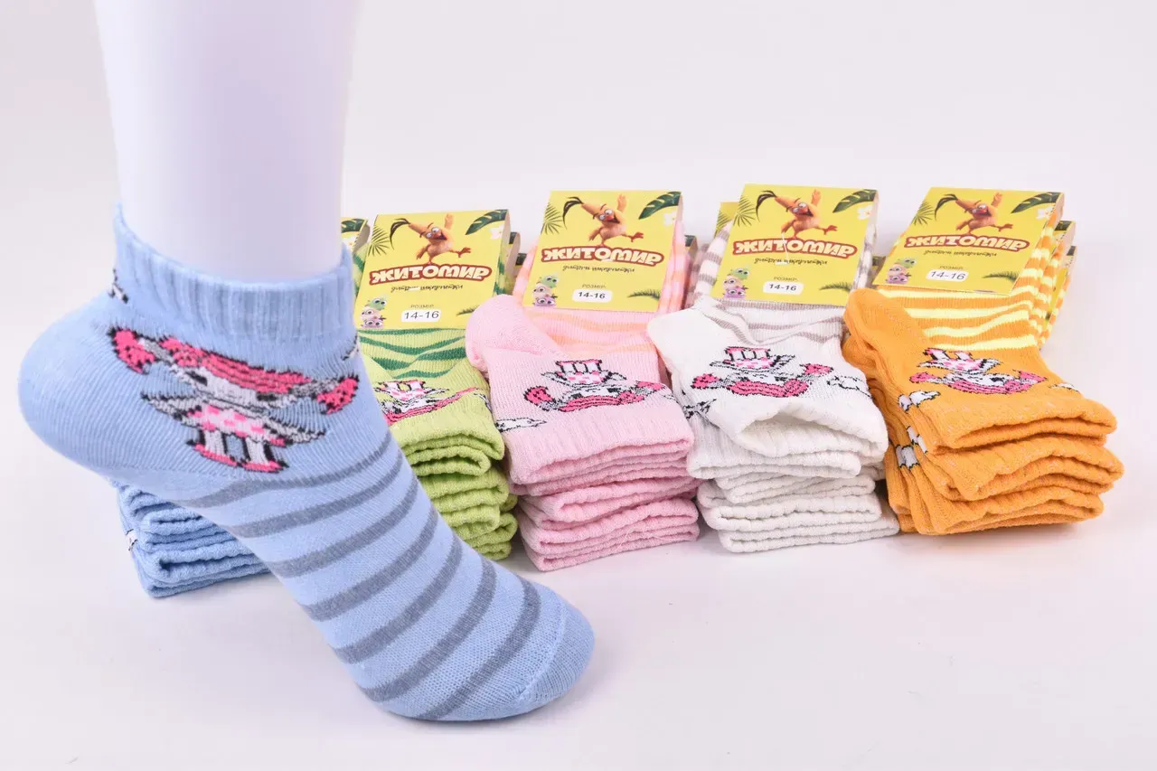 Шкарпетки дитячі на дівчинку "Житомир" бавовна