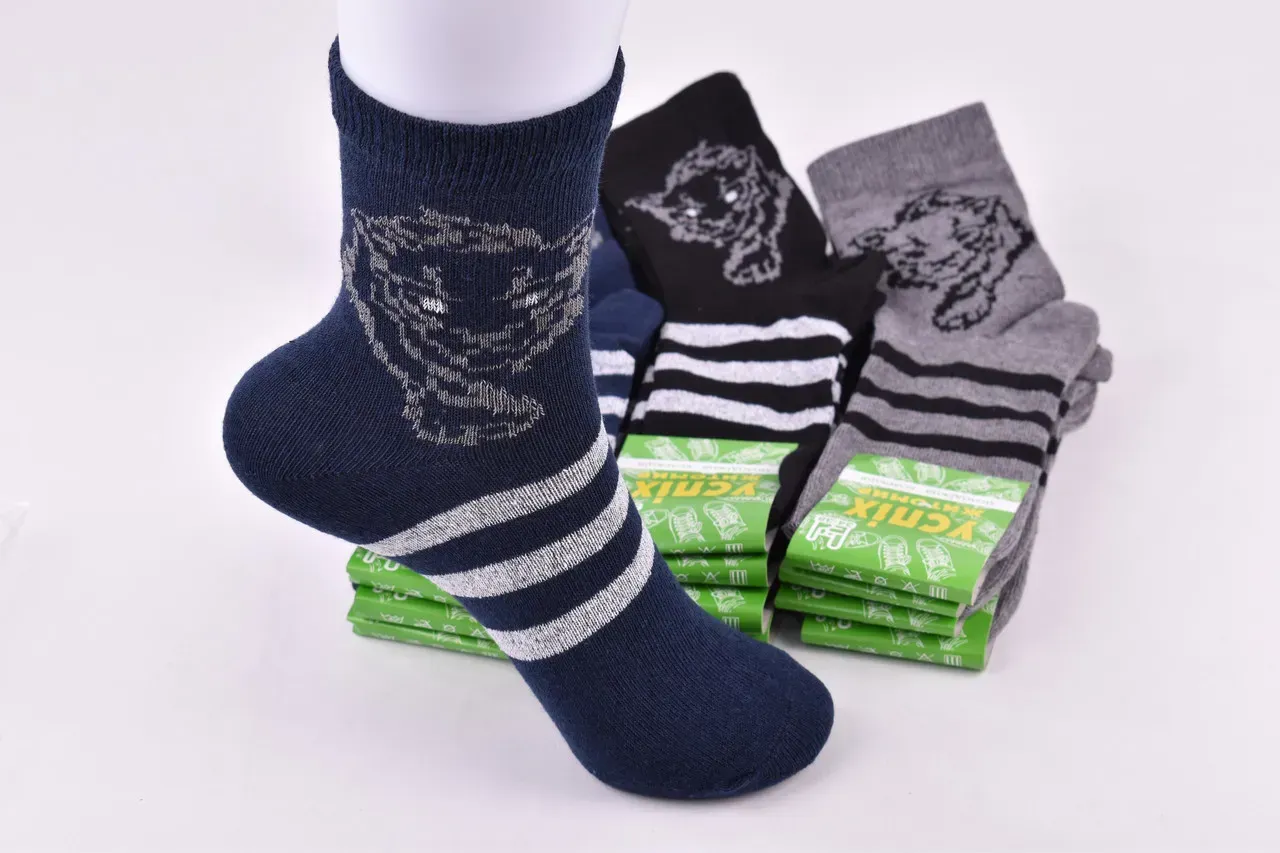 Шкарпетки дитячі на хлопчика "Житомир" бавовна